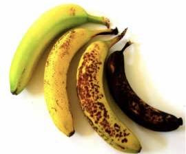 Banana's, from non ripe, to ripe, to rotting, to rotten