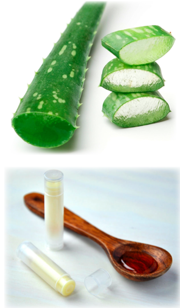 Some aloe vera and a salve that can be used to help with sun issues