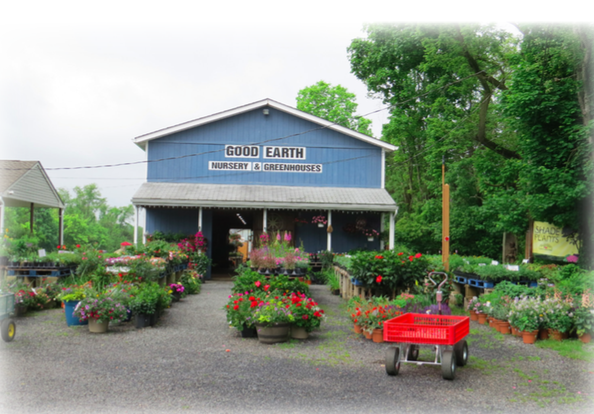 The outside view of Good Earth Nursery & Garden Center with many plants out front