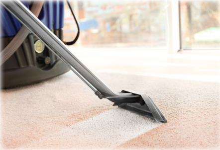 A vacuum, leaving a line of cleanliness on a carpet.