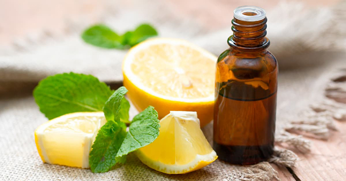 Lemons & mint next to an essential oils bottle