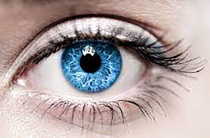 A closeup photo of a bright blue eye