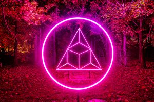 A bright glowing pink circle and prism amidts a forest background