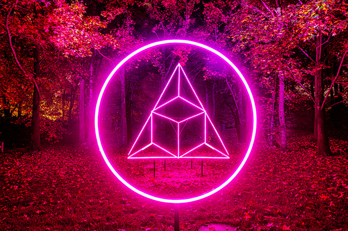 A bright glowing pink circle and prism amidts a forest background