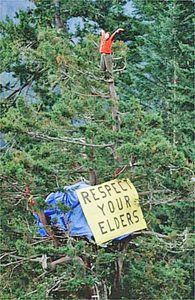 A picture of someone standing atop a very tall tree, with a respect your elders sign in frame